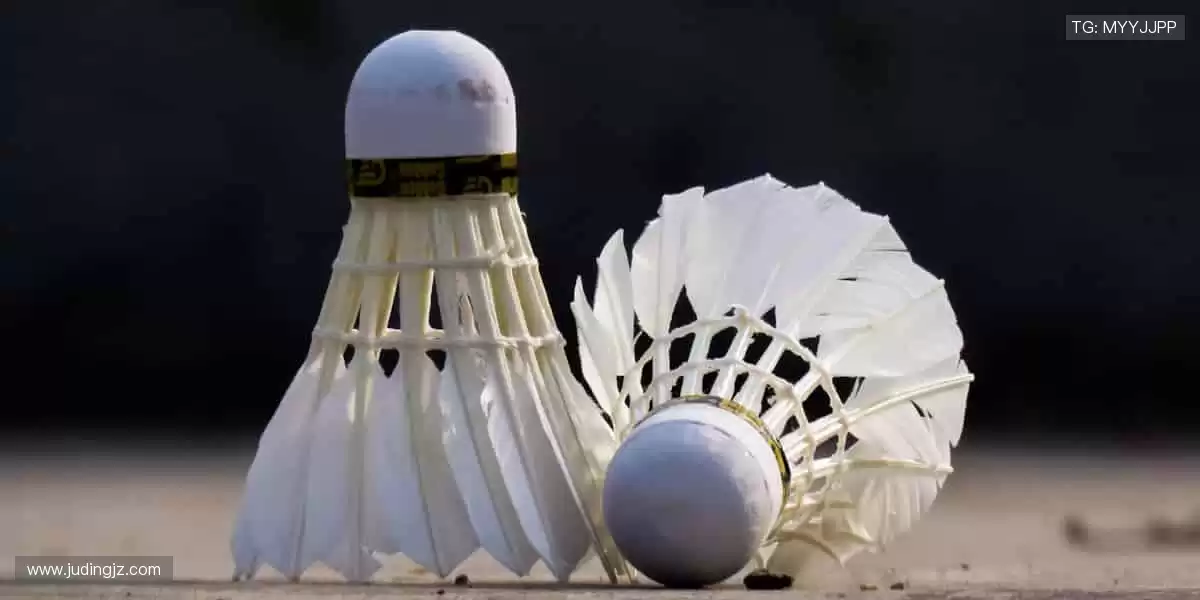 🏀高清直播，每一秒都让你心跳加速！